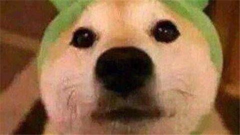 如何从一只舔狗逆袭,追到喜欢的女生? 如何从一只舔狗逆袭,追到喜欢的女生?第3张